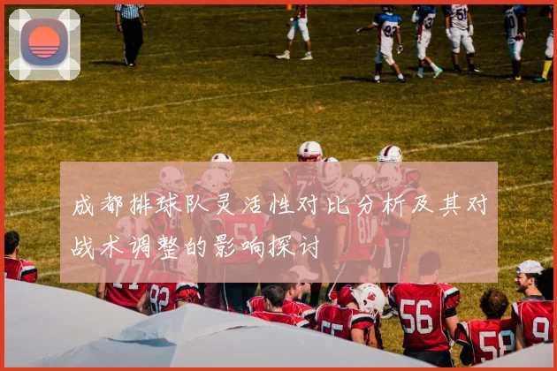 成都排球队灵活性对比分析及其对战术调整的影响探讨
