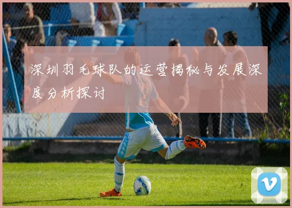 深圳羽毛球队的运营揭秘与发展深度分析探讨